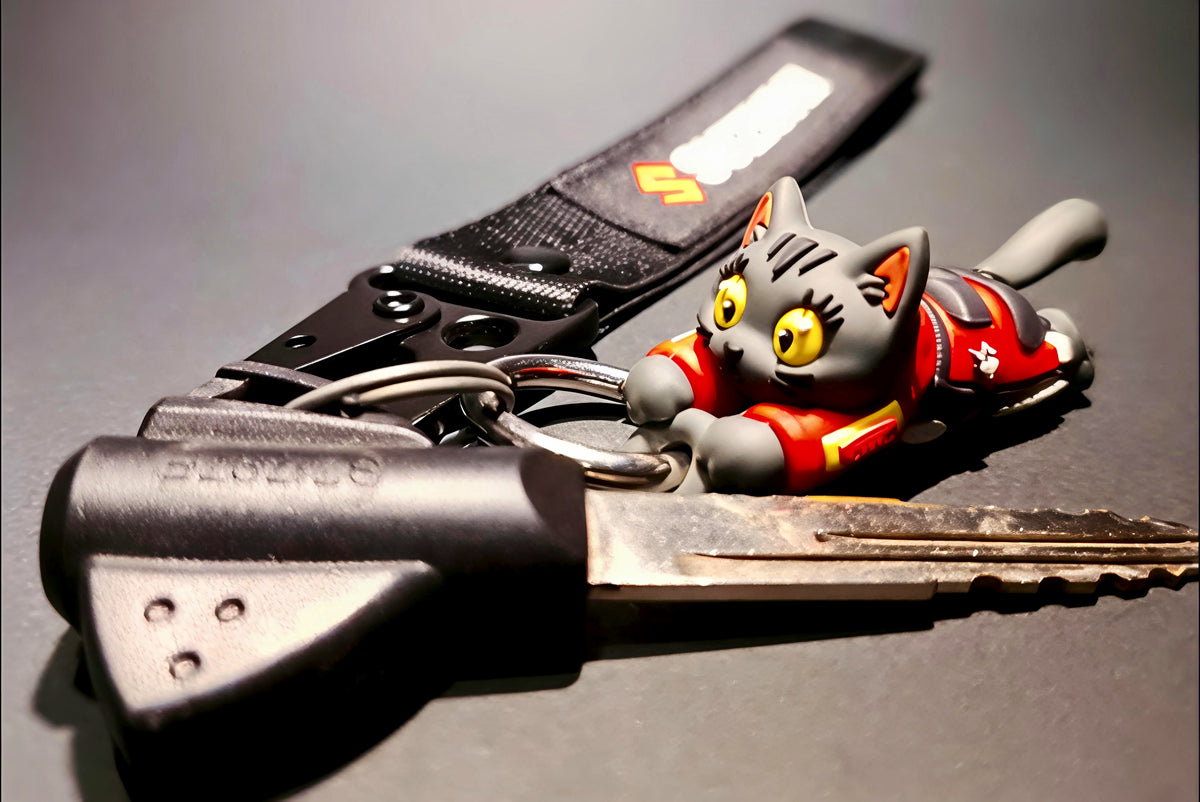 Hang On Kitty keychain