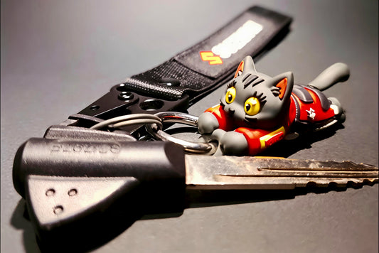 Hang On Kitty keychain